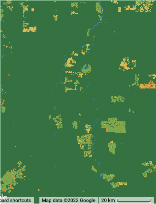 Fig. F4.8.10 BULC classification using default settings for Roosevelt River area for late 2021
